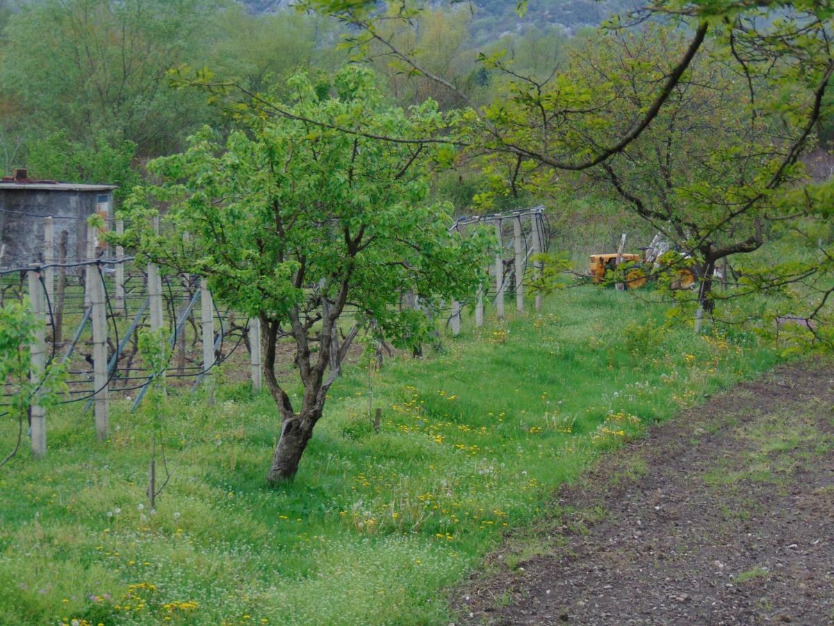 Studio And Winery Kalimut Virpazar Exterior foto